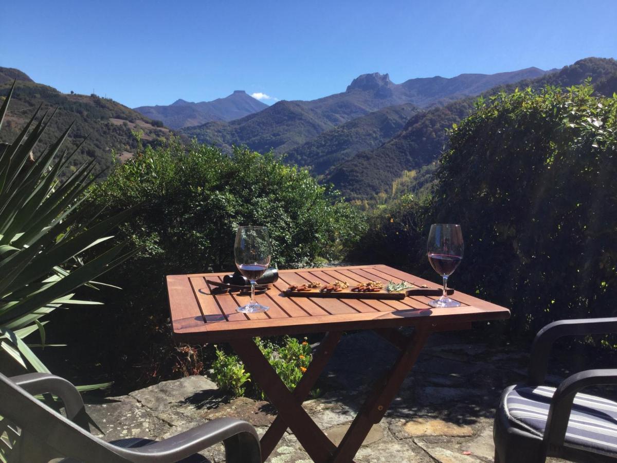 Olmares Terrace Apartment - Picos De Europa Lomeña Eksteriør billede